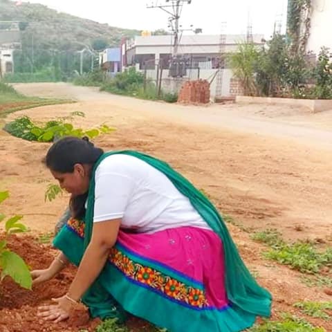 Planting a sapling under Vana Dhaathree